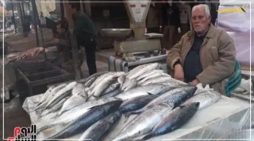 رقم اليوم للبلطي.. أسعار الأسماك بأسواق القليوبية تشهد تطورات جديدة 1